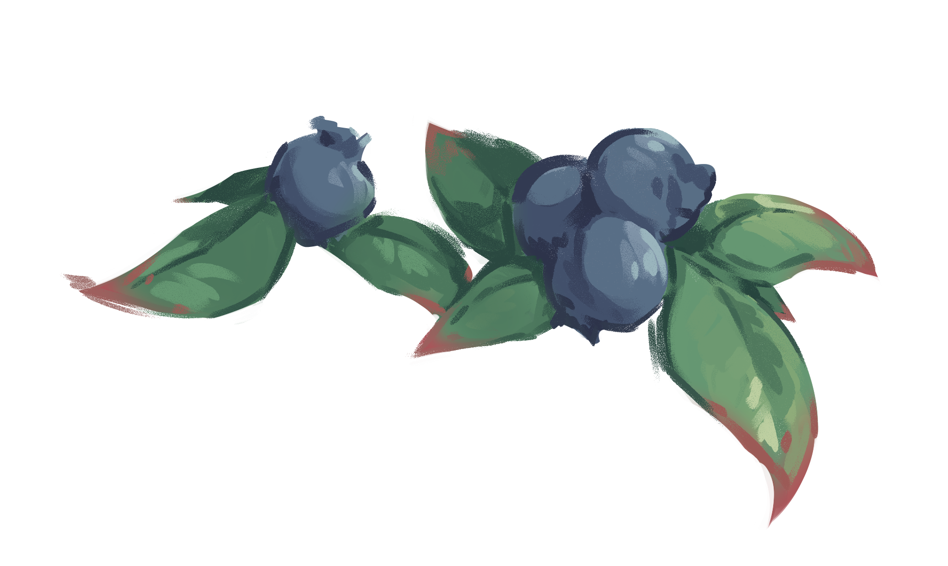 Wild blueberries among exposed granite rocks
