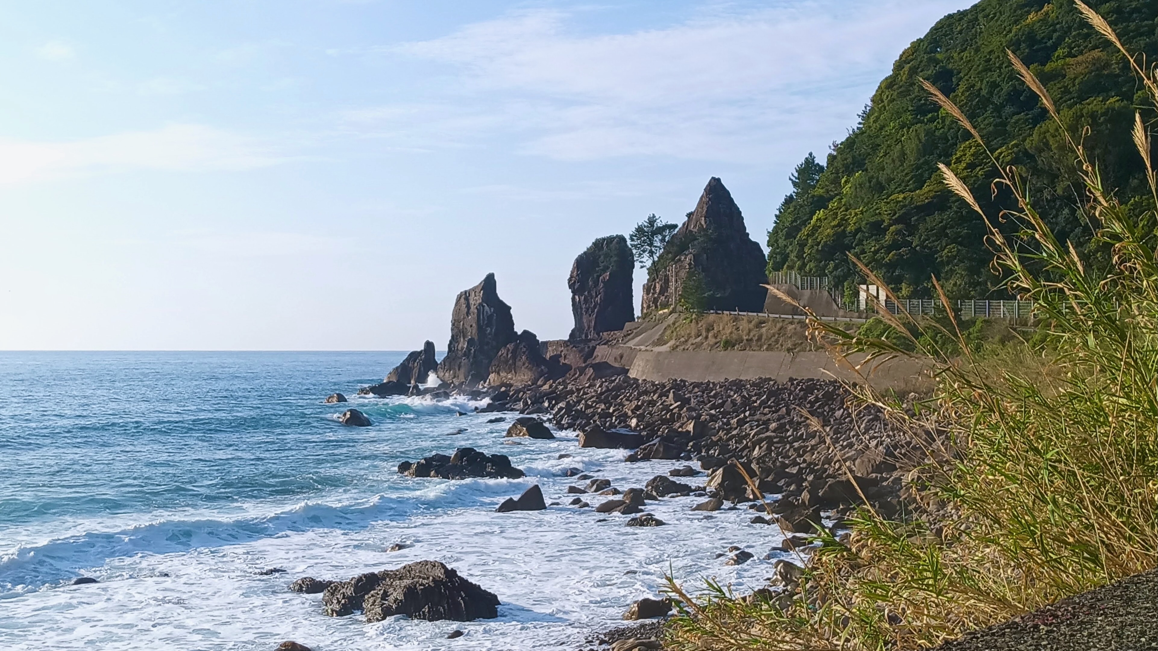 Rocky volcanic sea stacks rising from the Pacific coast near Muroto Cape, Kochi, waves breaking against dark rocks, pampas grass in the foreground, dense green hillside to the right, clear blue sky above